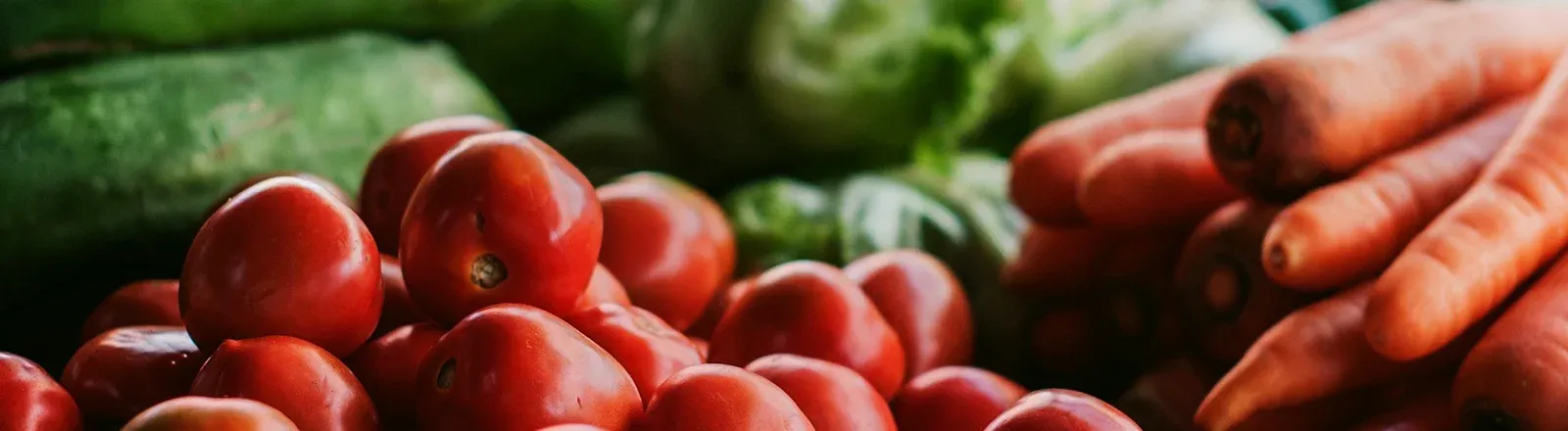 Re-Seed - Our product for a sustainable world